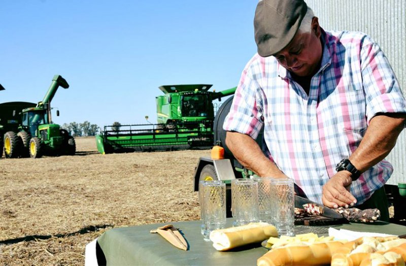 AGRO - Todos los seguros que el Sector Agropecuario necesita.